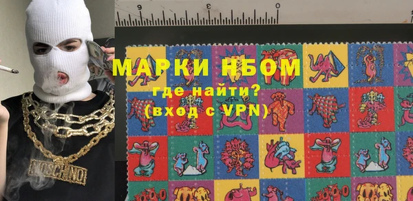 прущие грибы Усмань