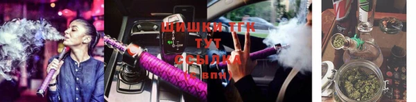 прущие грибы Усмань