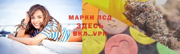 прущие грибы Усмань